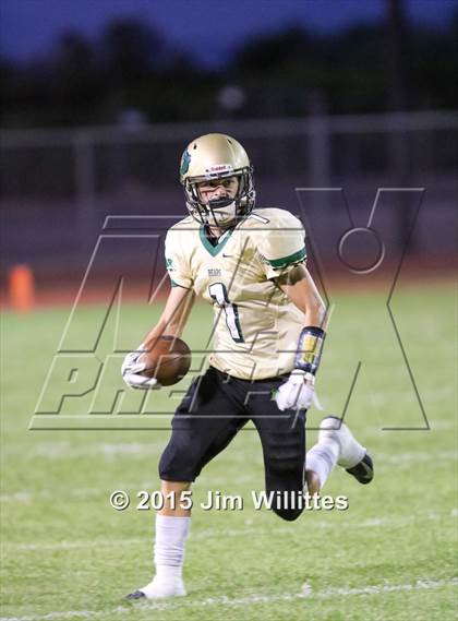 Thumbnail 3 in Cienega @ Basha photogallery.
