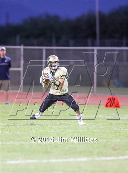 Thumbnail 3 in Cienega @ Basha photogallery.