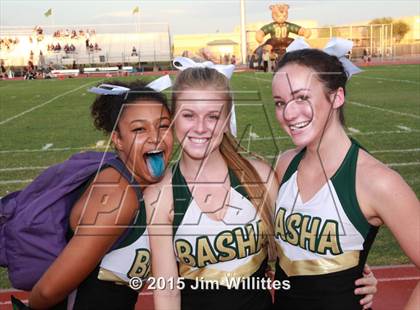 Thumbnail 3 in Cienega @ Basha photogallery.
