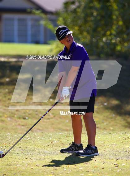 Thumbnail 2 in West Frisco Classic photogallery.