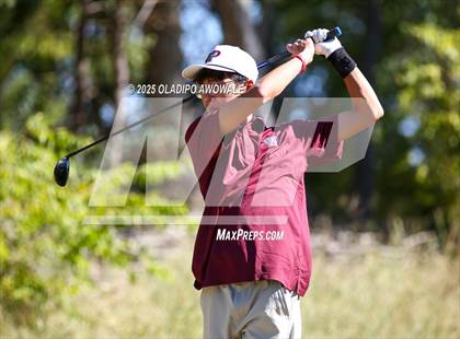 Thumbnail 1 in West Frisco Classic photogallery.