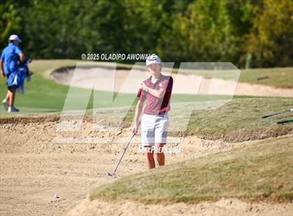 Thumbnail 1 in West Frisco Classic photogallery.