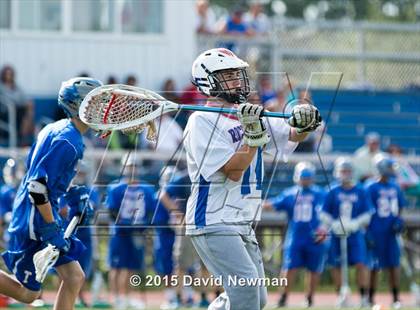 Thumbnail 1 in Tolland @ Rocky Hill photogallery.