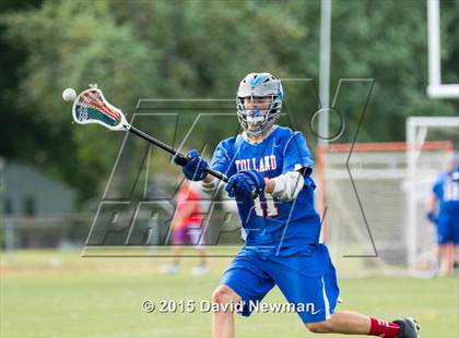 Thumbnail 1 in Tolland @ Rocky Hill photogallery.