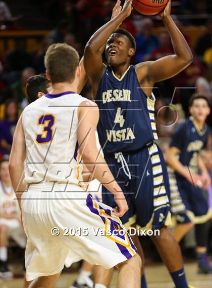 Thumbnail 1 in Desert Vista vs. Mesa (AIA Division 1 Quarterfinal) photogallery.