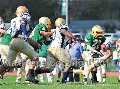 Thumbnail 1 in Coyle-Cassidy @ Bishop Feehan photogallery.