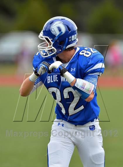 Thumbnail 1 in Warde @ Darien photogallery.