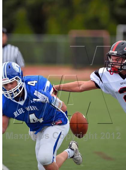 Thumbnail 3 in Warde @ Darien photogallery.