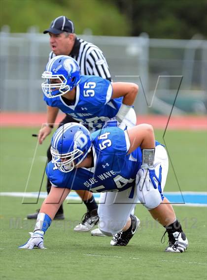 Thumbnail 3 in Warde @ Darien photogallery.