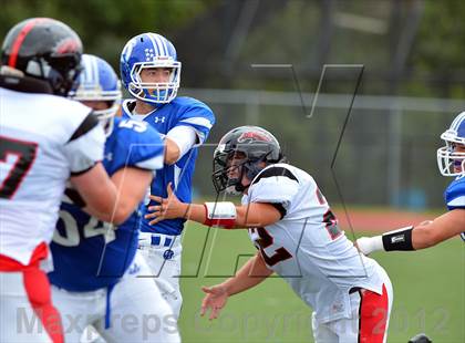 Thumbnail 2 in Warde @ Darien photogallery.