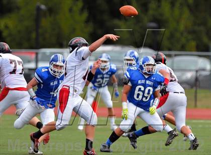 Thumbnail 3 in Warde @ Darien photogallery.