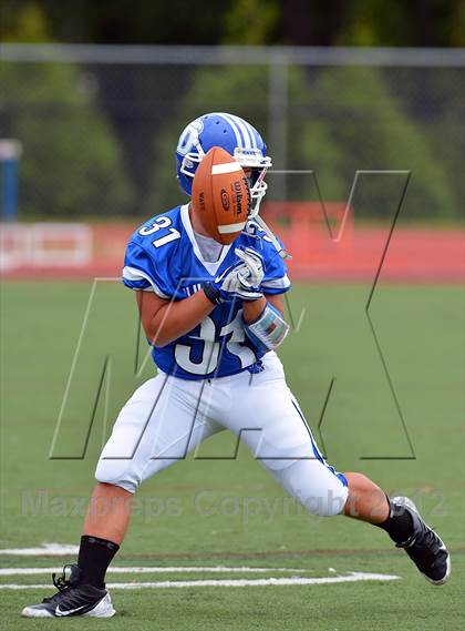 Thumbnail 2 in Warde @ Darien photogallery.