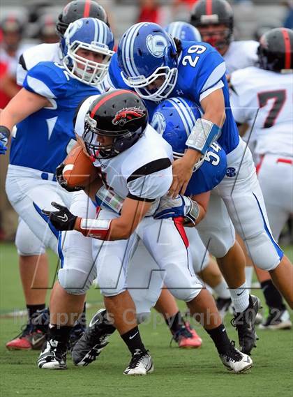 Thumbnail 2 in Warde @ Darien photogallery.