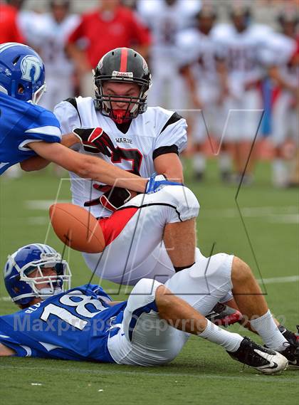 Thumbnail 1 in Warde @ Darien photogallery.