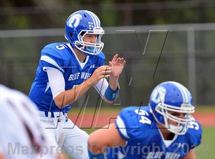 Thumbnail 1 in Warde @ Darien photogallery.