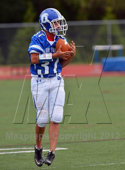 Thumbnail 1 in Warde @ Darien photogallery.