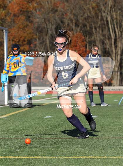 Thumbnail 2 in Shrewsbury @ Nashoba Regional (MIAA D1 Central Quarterfinal) photogallery.