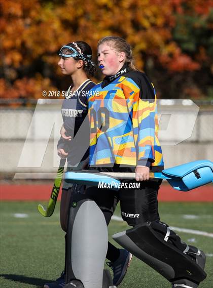Thumbnail 3 in Shrewsbury @ Nashoba Regional (MIAA D1 Central Quarterfinal) photogallery.