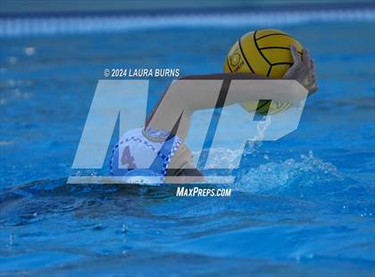 Thumbnail 3 in Leland @ Gilroy photogallery.