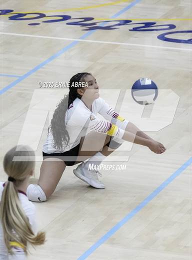 null - Photo 51