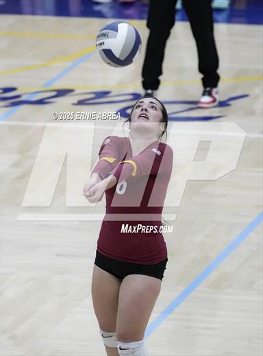 null - Photo 51