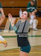 Photo from the gallery "San Rafael @ Casa Grande"