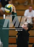 Photo from the gallery "San Rafael @ Casa Grande"