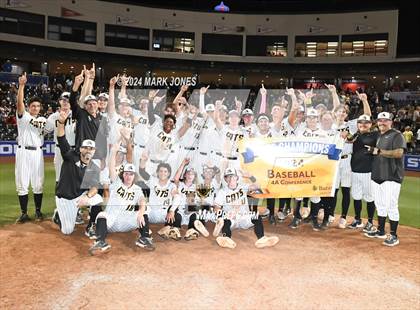 Thumbnail 3 in  Saguaro vs. Canyon del Oro (AIA 4A Final - Awards) photogallery.