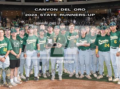 Thumbnail 3 in  Saguaro vs. Canyon del Oro (AIA 4A Final - Awards) photogallery.