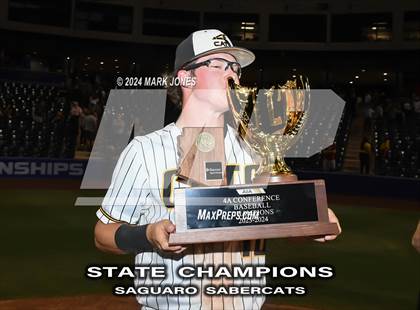 Thumbnail 1 in  Saguaro vs. Canyon del Oro (AIA 4A Final - Awards) photogallery.