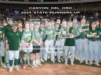 Thumbnail 2 in  Saguaro vs. Canyon del Oro (AIA 4A Final - Awards) photogallery.