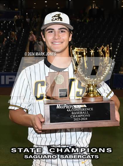 Thumbnail 1 in  Saguaro vs. Canyon del Oro (AIA 4A Final - Awards) photogallery.