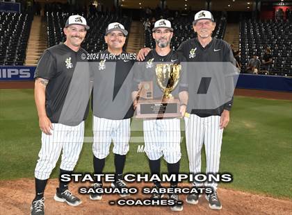 Thumbnail 1 in  Saguaro vs. Canyon del Oro (AIA 4A Final - Awards) photogallery.
