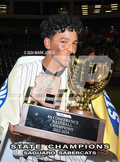 Thumbnail 2 in  Saguaro vs. Canyon del Oro (AIA 4A Final - Awards) photogallery.