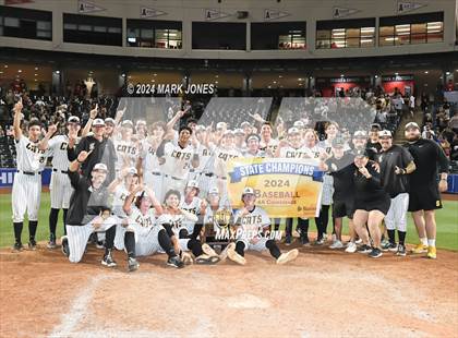 Thumbnail 3 in  Saguaro vs. Canyon del Oro (AIA 4A Final - Awards) photogallery.
