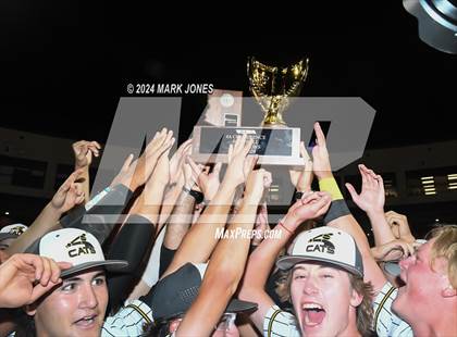 Thumbnail 2 in  Saguaro vs. Canyon del Oro (AIA 4A Final - Awards) photogallery.