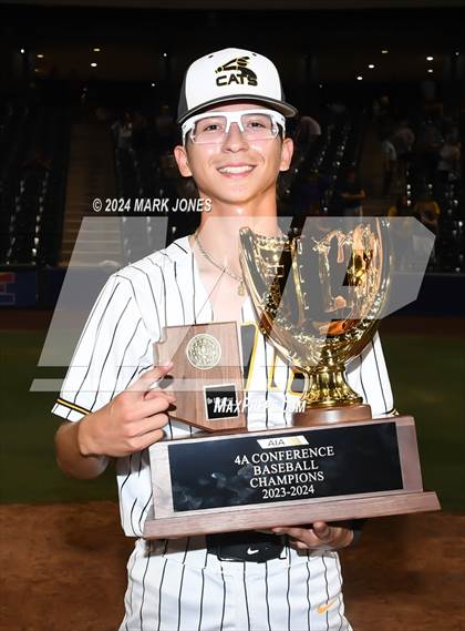Thumbnail 1 in  Saguaro vs. Canyon del Oro (AIA 4A Final - Awards) photogallery.