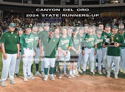 Thumbnail 1 in  Saguaro vs. Canyon del Oro (AIA 4A Final - Awards) photogallery.