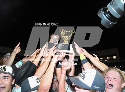 Thumbnail 3 in  Saguaro vs. Canyon del Oro (AIA 4A Final - Awards) photogallery.