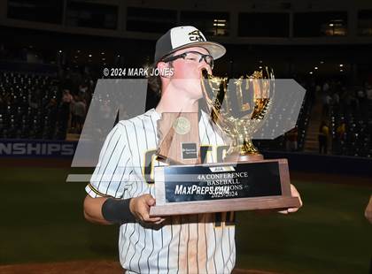Thumbnail 3 in  Saguaro vs. Canyon del Oro (AIA 4A Final - Awards) photogallery.