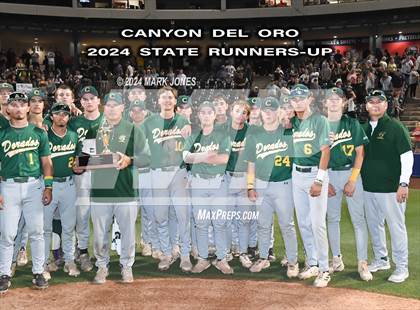 Thumbnail 1 in  Saguaro vs. Canyon del Oro (AIA 4A Final - Awards) photogallery.