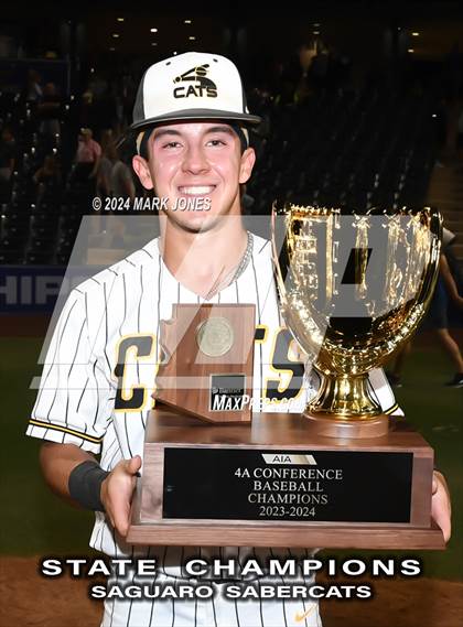 Thumbnail 3 in  Saguaro vs. Canyon del Oro (AIA 4A Final - Awards) photogallery.