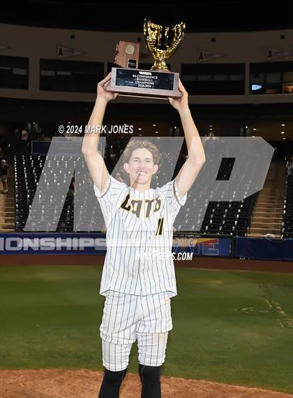 Thumbnail 1 in  Saguaro vs. Canyon del Oro (AIA 4A Final - Awards) photogallery.