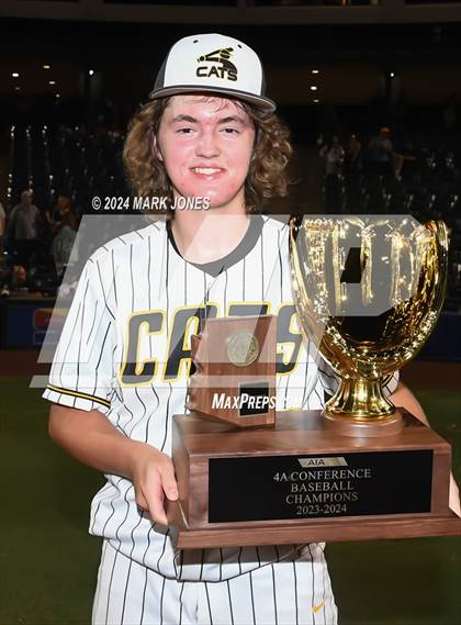 Thumbnail 1 in  Saguaro vs. Canyon del Oro (AIA 4A Final - Awards) photogallery.