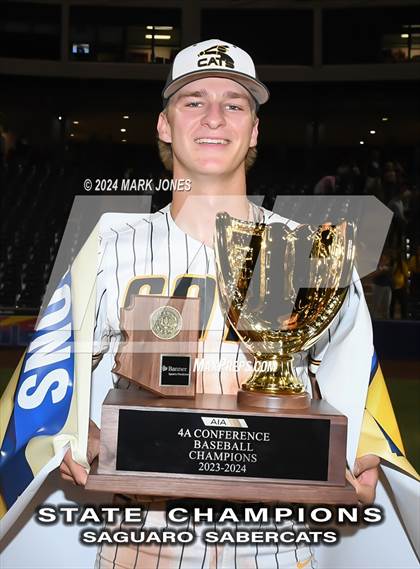 Thumbnail 1 in  Saguaro vs. Canyon del Oro (AIA 4A Final - Awards) photogallery.