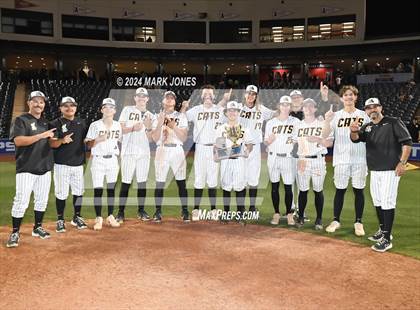 Thumbnail 1 in  Saguaro vs. Canyon del Oro (AIA 4A Final - Awards) photogallery.