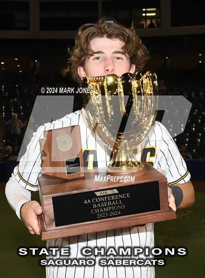Thumbnail 1 in  Saguaro vs. Canyon del Oro (AIA 4A Final - Awards) photogallery.