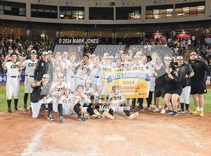Thumbnail 1 in  Saguaro vs. Canyon del Oro (AIA 4A Final - Awards) photogallery.