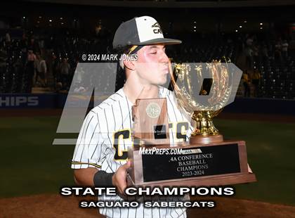 Thumbnail 1 in  Saguaro vs. Canyon del Oro (AIA 4A Final - Awards) photogallery.