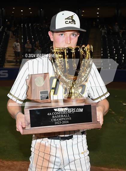 Thumbnail 1 in  Saguaro vs. Canyon del Oro (AIA 4A Final - Awards) photogallery.